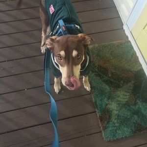 Meet your Posher, Alison